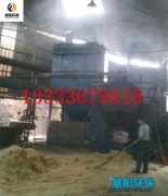 生物质锅炉除尘器用哪种的比较好