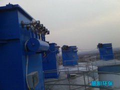 水泥厂仓顶除尘器收集混凝土的除尘保护伞